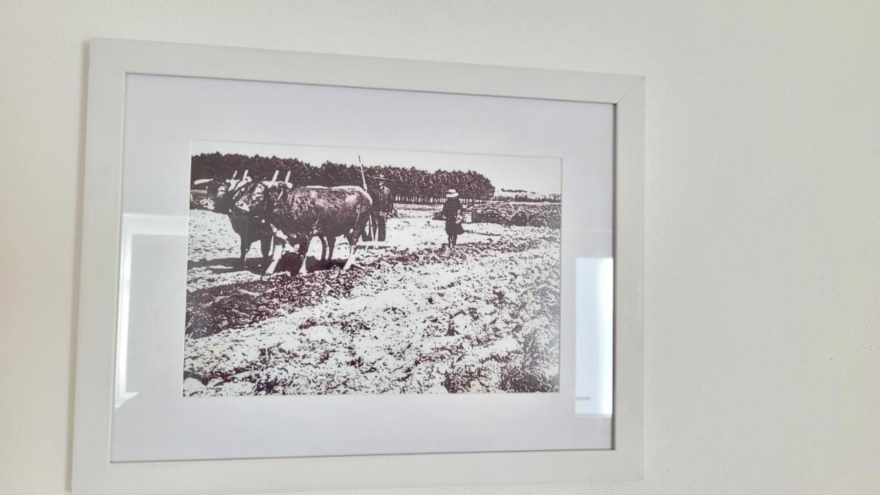 Casa Da Costureira Villa Brejao Dış mekan fotoğraf